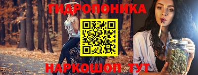 мдпв Лесосибирск