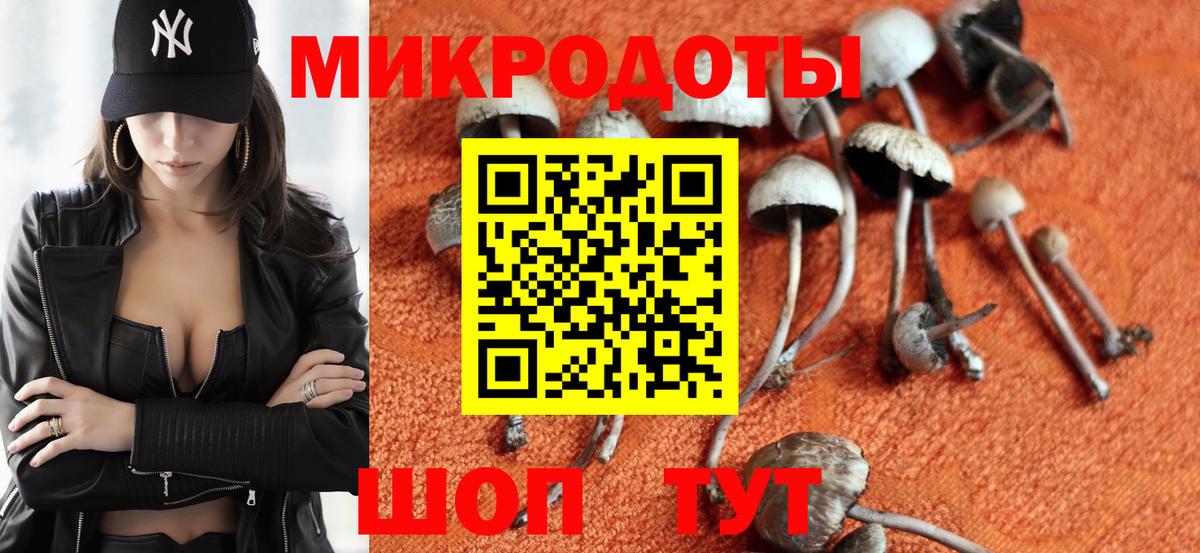 Галлюциногенные грибы Psilocybine cubensis Избербаш